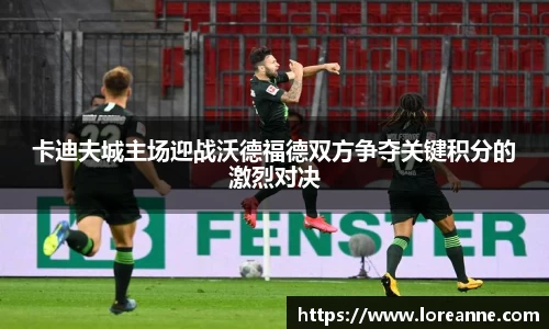 卡迪夫城主场迎战沃德福德双方争夺关键积分的激烈对决